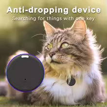 pet gps tracker 